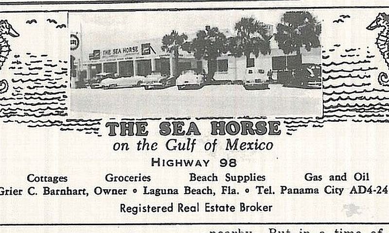 sea-horse-ad